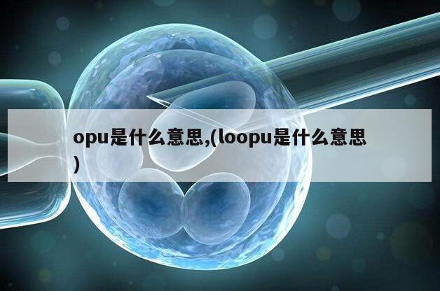 opu是什么意思,(loopu是什么意思)