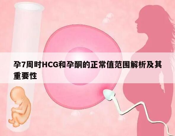 孕7周时HCG和孕酮的正常值范围解析及其重要性