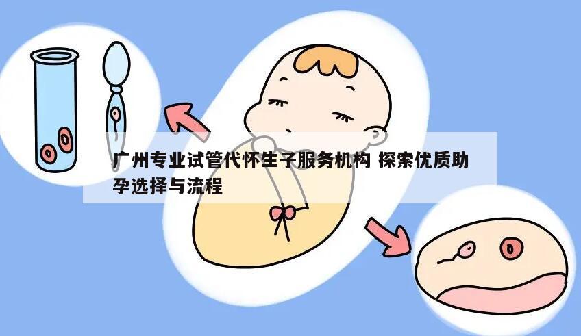 广州专业试管代怀生子服务机构 探索优质助孕选择与流程